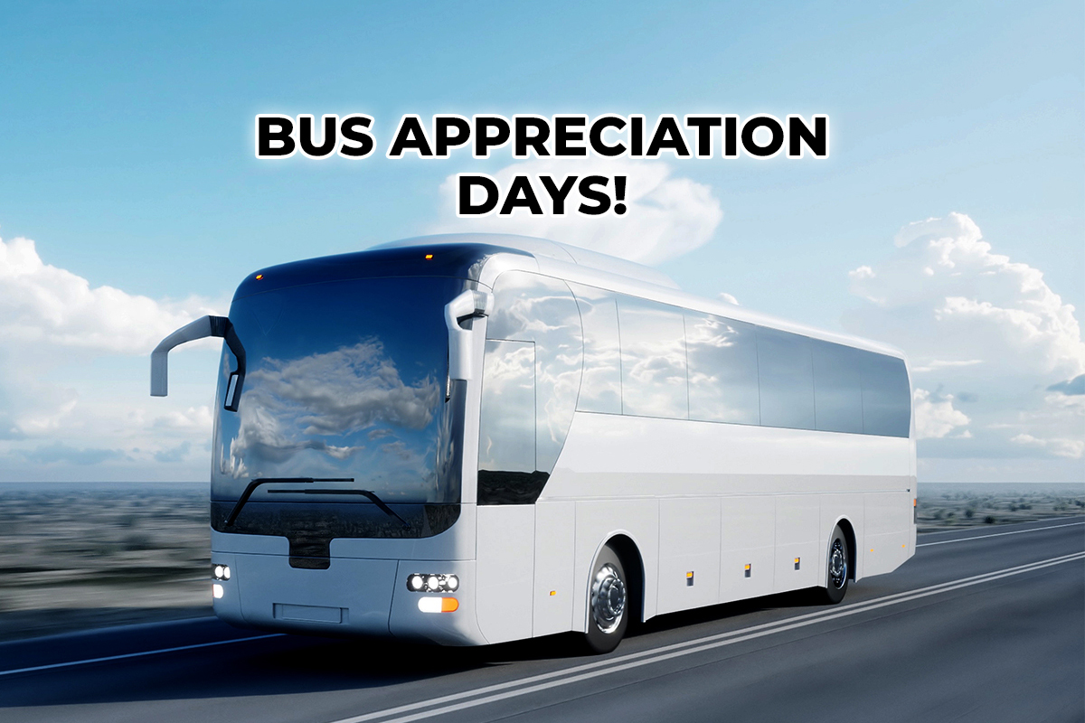 Bus appreciation